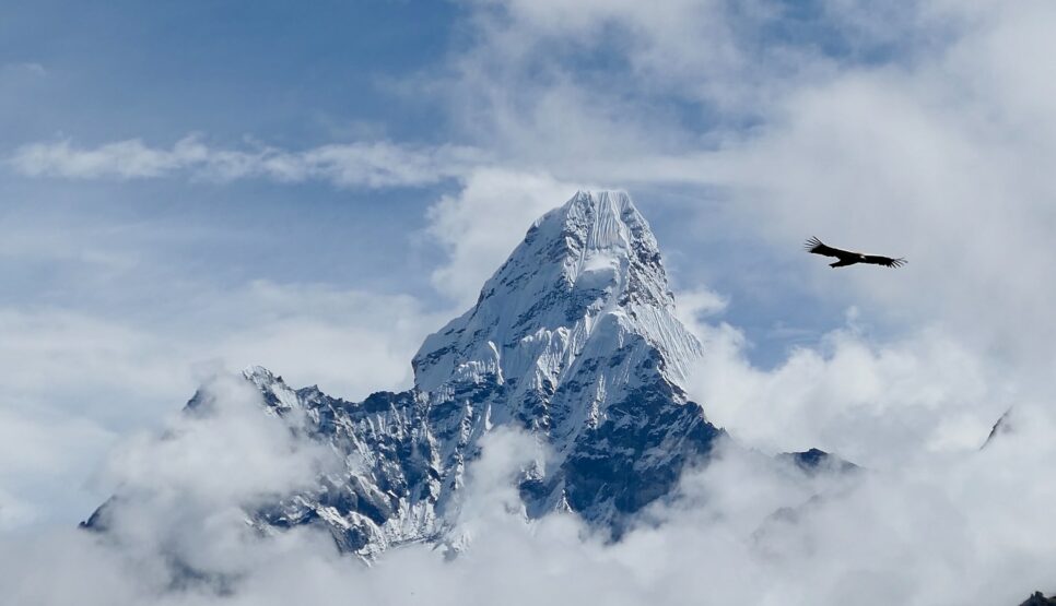 Ein Adler fliegt frei gleitend in alpiner Berglandschaft